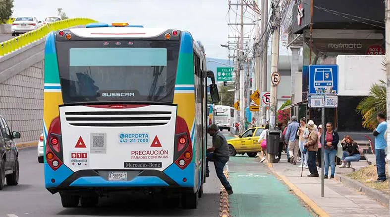 nuevos autobuses